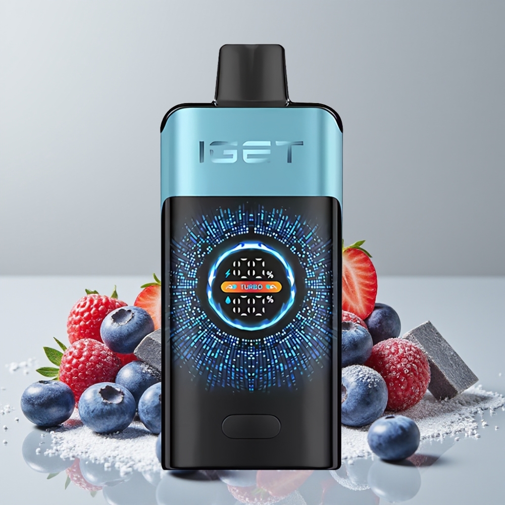 IGET ONE 12000 Puffs Disposable Vape with 2700mAh & Curved Screen - Blueberry Ice