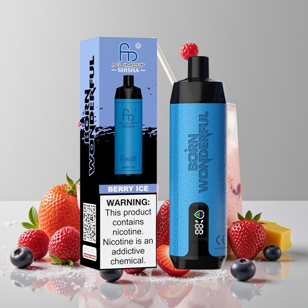 RandM Fumot Shisha 10000 Puffs Berry Ice Disposable Vape with LED & Type-C Port