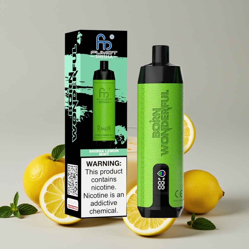 RandM Fumot Shisha 10000 Puffs Disposable Vape 18mL 850mAh Type-C Shisha Lemon Mint