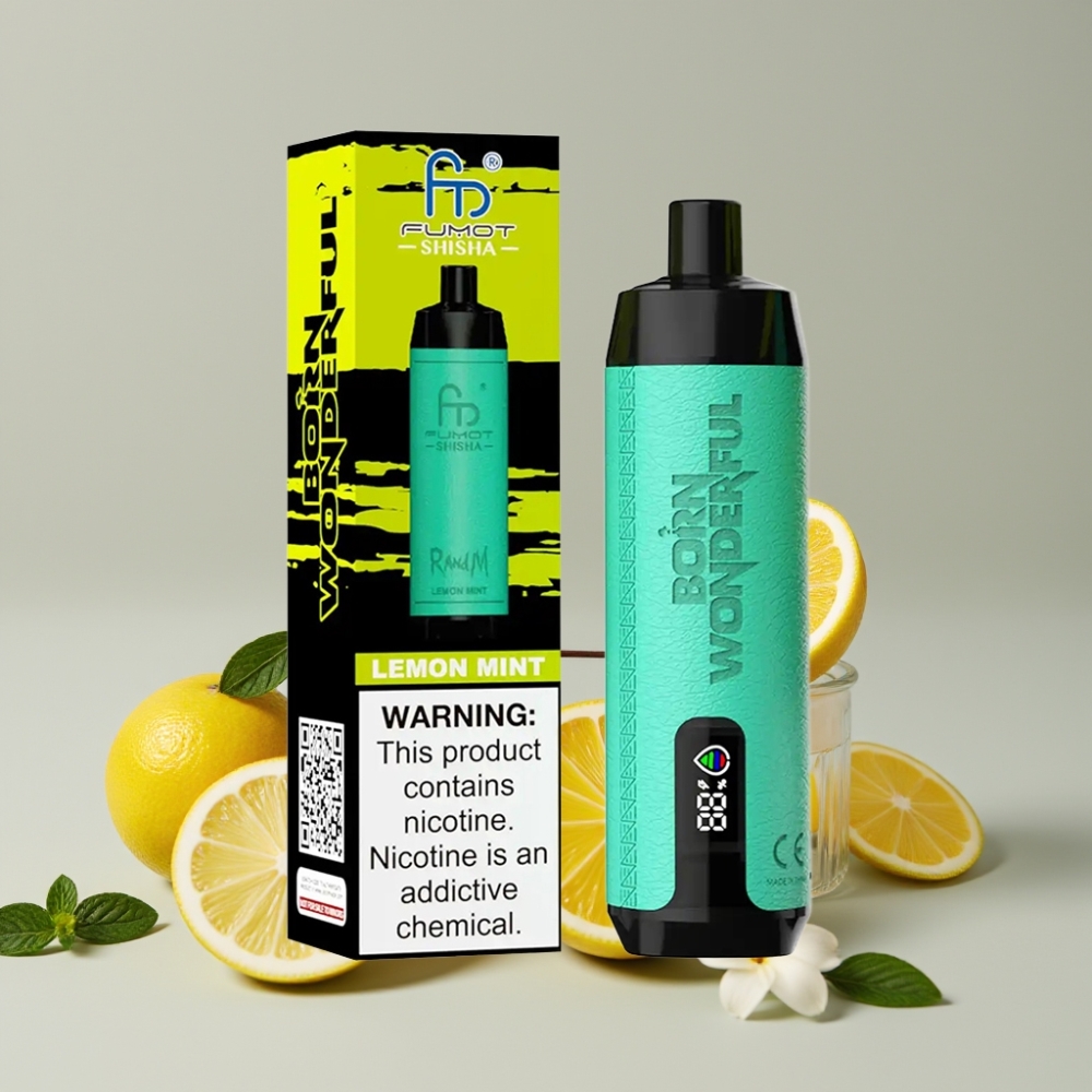 RandM Fumot Shisha 10000 Puffs Disposable Vape 18ml Lemon Mint 0.5% Nicotine Type-C