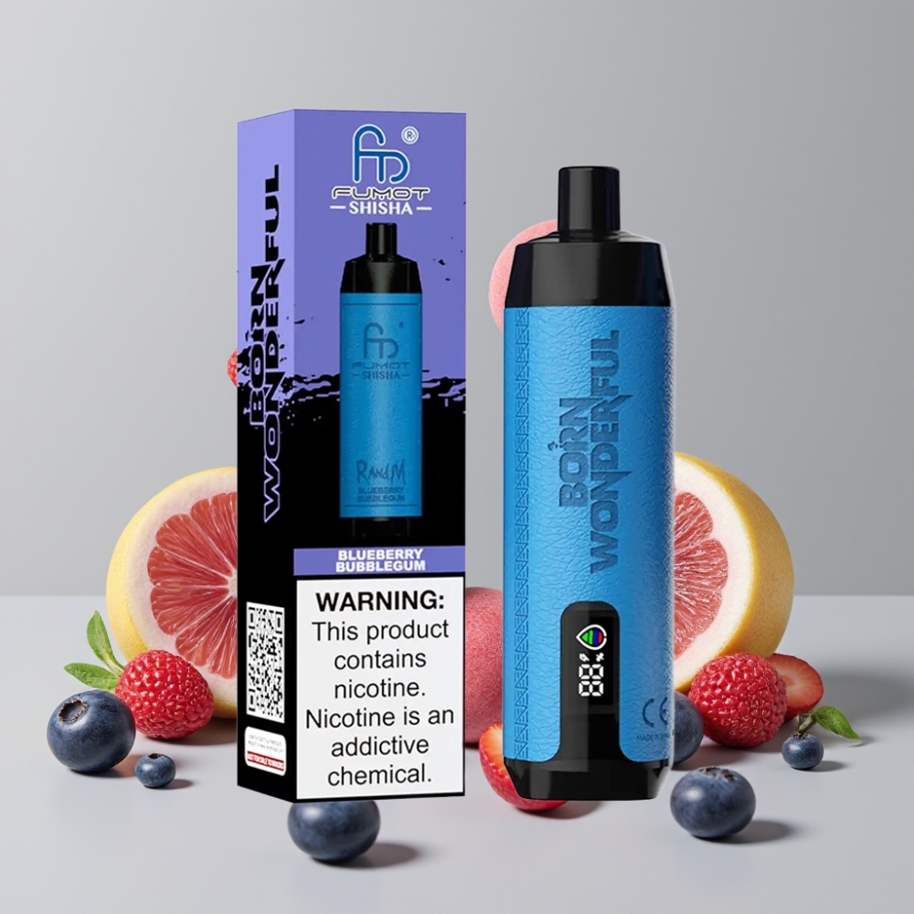 RandM Fumot Shisha 10000 Puffs Disposable Vape Blueberry Bubblegum 18mL 850mAh Type-C