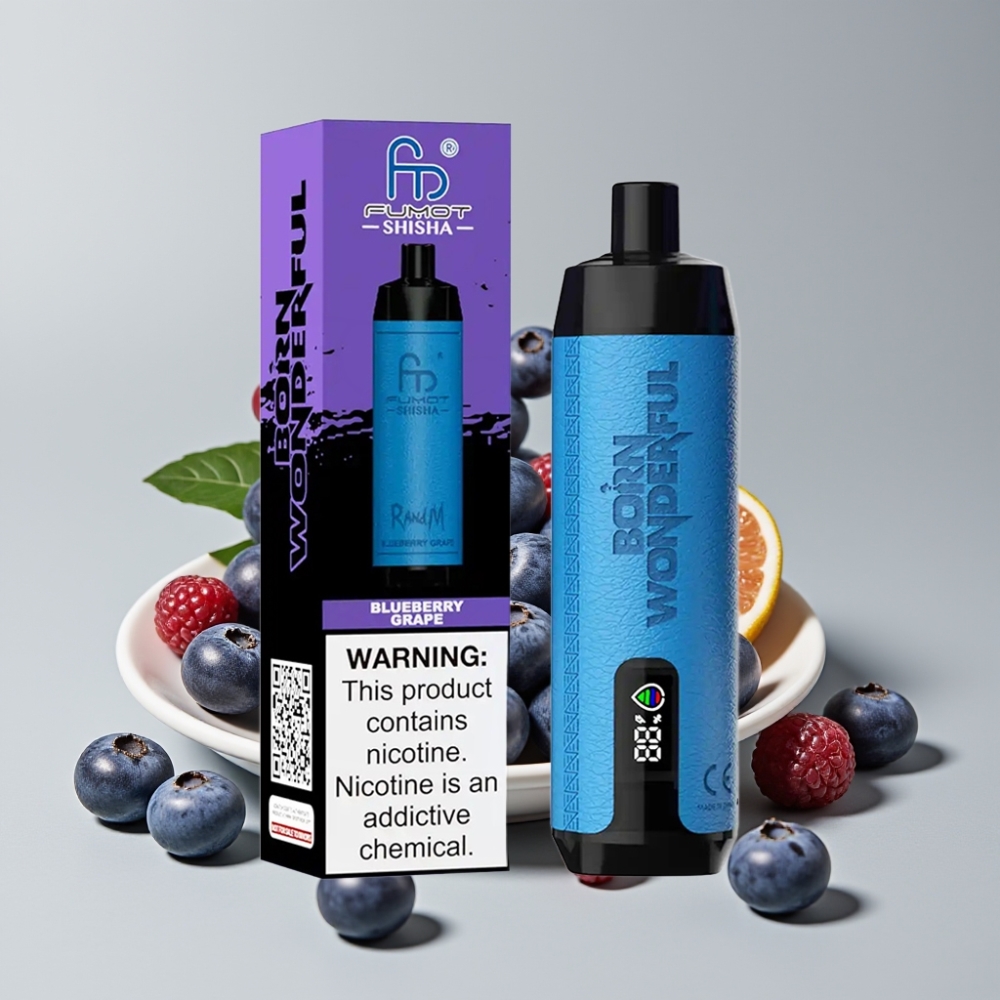 RandM Fumot Shisha 10000 Puffs Disposable Vape Blueberry Grape 18mL 850mAh Type-C