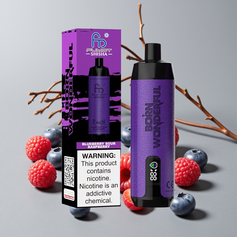 RandM Fumot Shisha 10000 Puffs Disposable Vape Blueberry Sour Raspberry 18mL 850mAh Type-C