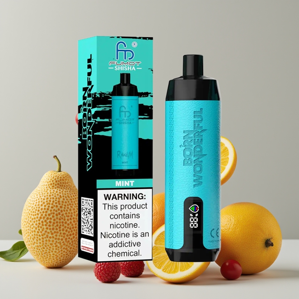 RandM Fumot Shisha 10000 Puffs Disposable Vape Mint 18ml Type-C 0.5% Nicotine