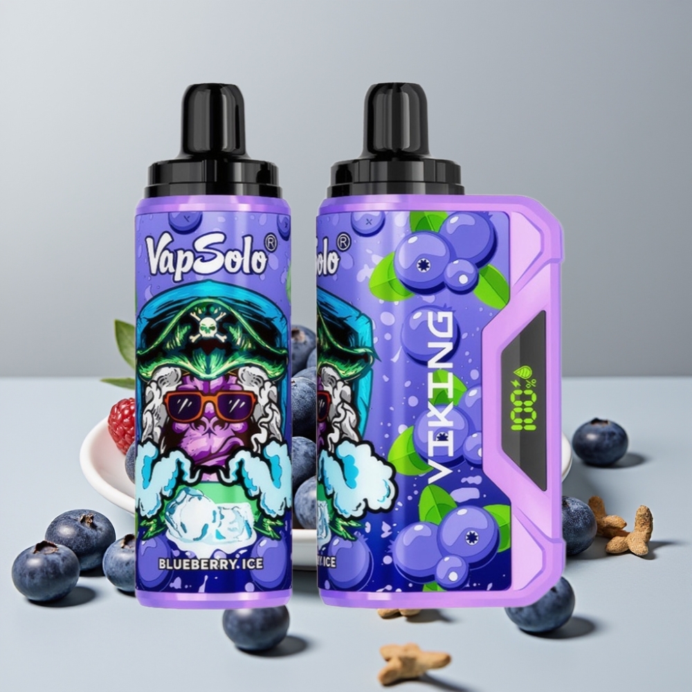 VapSolo VIKING 12000 Puffs 22ml 50mg Blueberry Disposable Vape with Type-C & LED Display