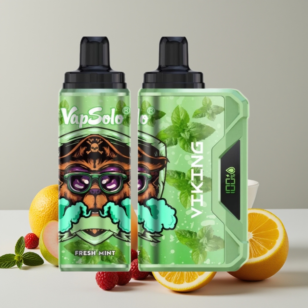 VapSolo VIKING 12000 Puffs 22ml Disposable Vape Fresh Mint Type-C LED Display